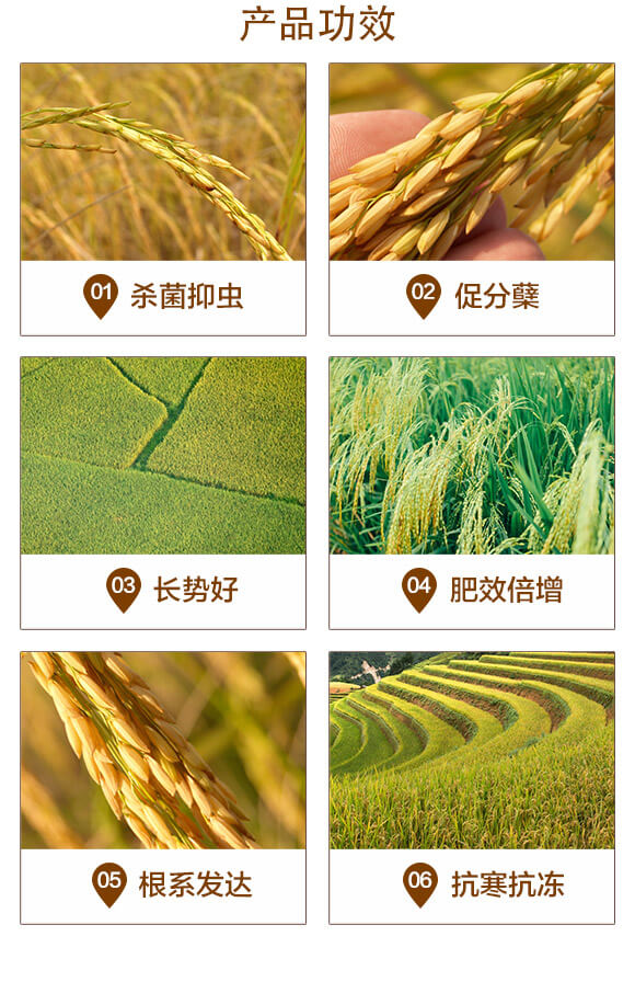 �LЧ��ጓ������-��+�\ˮ����-�������r(n��ng)_03