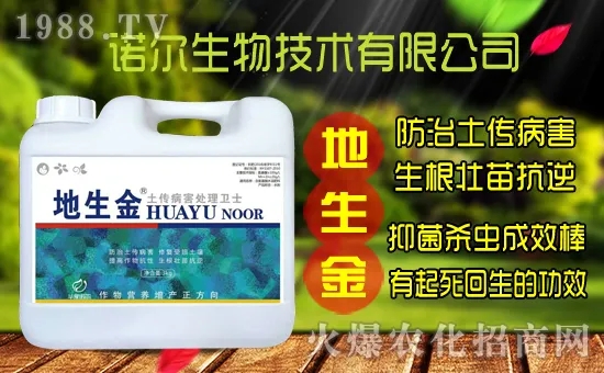 �S���˷N����ô�ɼ����S���˷N��r(ji��)������Xһ�ꣿ