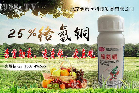 ����(sh��)�h(hu��n)������Щ����������(sh��)�h(hu��n)����Ҋ(ji��n)�`�^(q��)��ʲô��