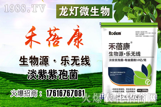 ���t���ڷ۷����������t��¶��ʹ���Nֲ�кβ�ͬ��