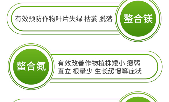 ����ʮ��Ԫ��-�����-Ӣ����_11