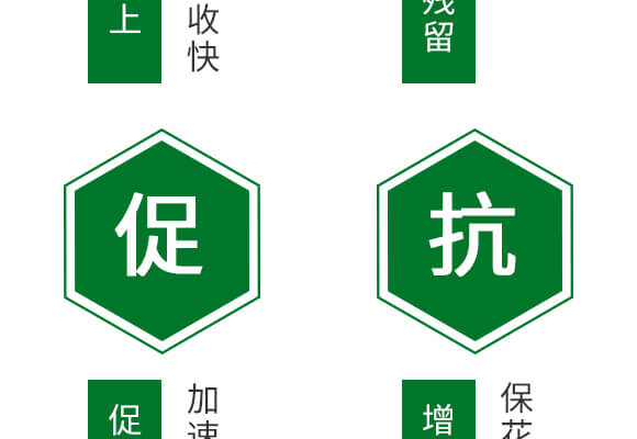 400g��������-Ӣ����_07