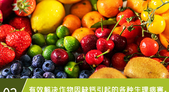 �Ǵ��}-Ӣ����_08