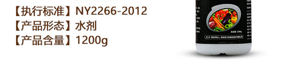 �}�V�\���F-Ӣ����_04