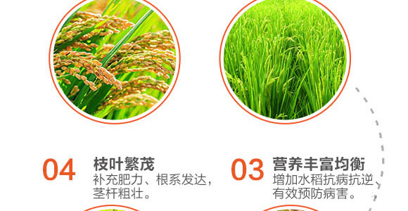 �w����(zhu��n)��-��ϲ-Ӣ����_04