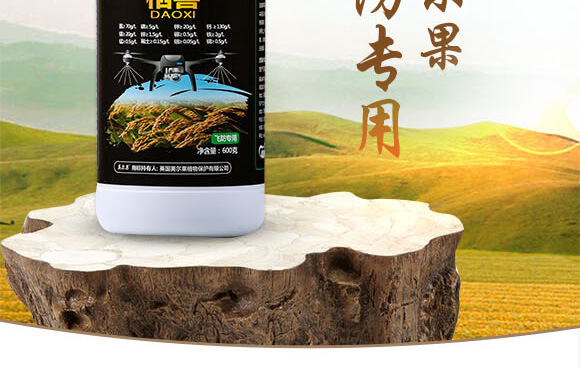 �w����(zhu��n)��-��ϲ-Ӣ����_02