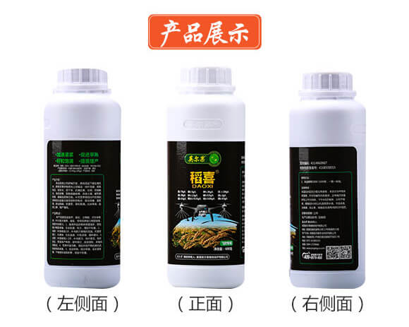 �w����(zhu��n)��-��ϲ-Ӣ����_07