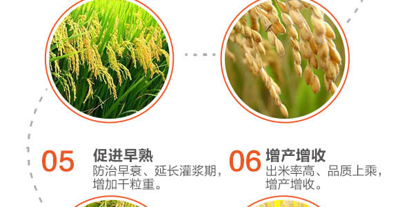 �w����(zhu��n)��-��ϲ-Ӣ����_05