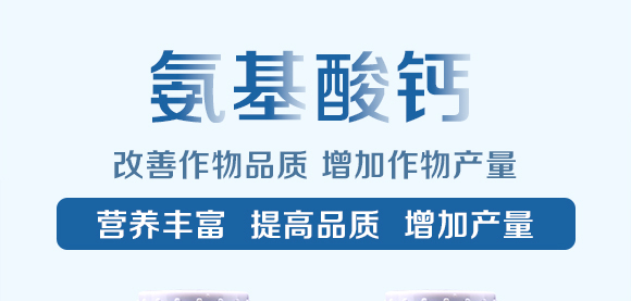 �������}-Ӣ����_01