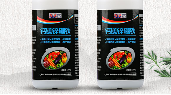 �}�V�\���F-Ӣ����_02