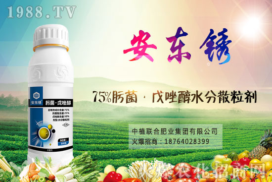 小麥價(jià)格后市將繼續(xù)漲？9月16日小麥價(jià)格走勢(shì)！