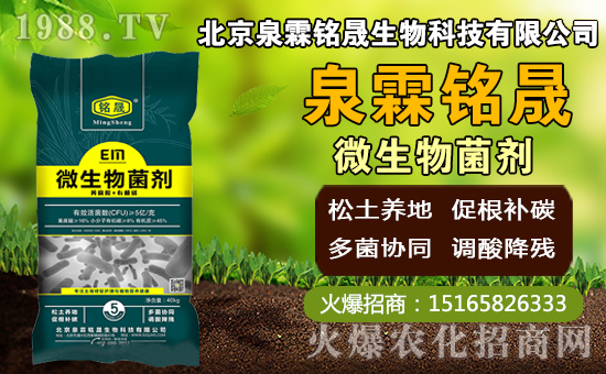 â��ʲô�r�g�Nֲ��â���Nֲ��������ˮ�r�ڣ�