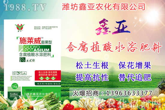 �Zʳ�q�r��20209��17��С���r��������Σ�