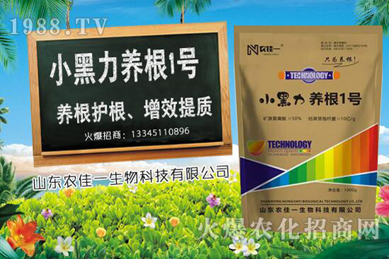 甜椒種植時(shí)如何選用肥料，甜椒施肥方法有哪些？