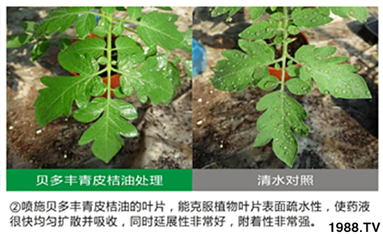 青皮桔柚助劑-貝多豐