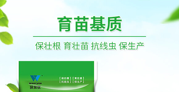 50L������|-�֠���(y��u)_01