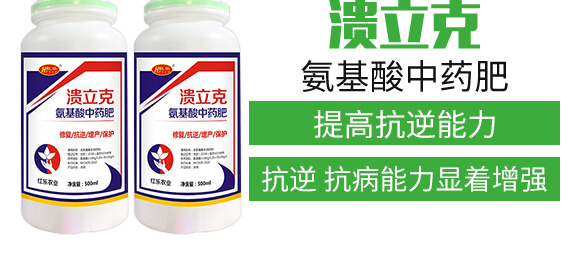 500ml��������ˎ��-������-�t��_04