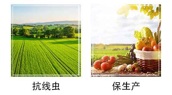 50L������|-�֠���(y��u)_05