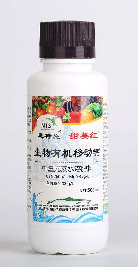 500ml�����ЙC(j��)�Ƅ��}-�����t-����ʩ2