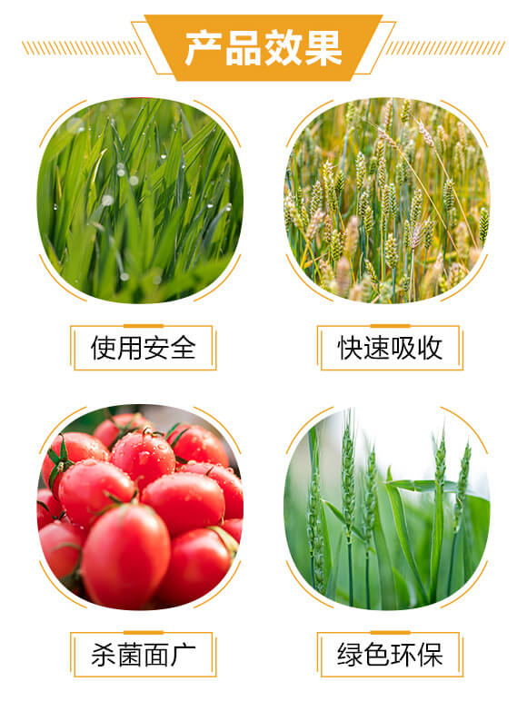 ��(x��)���ٚ�ˎ��-�۾S�~-�����S_04