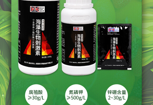 750-Ԕ���_02