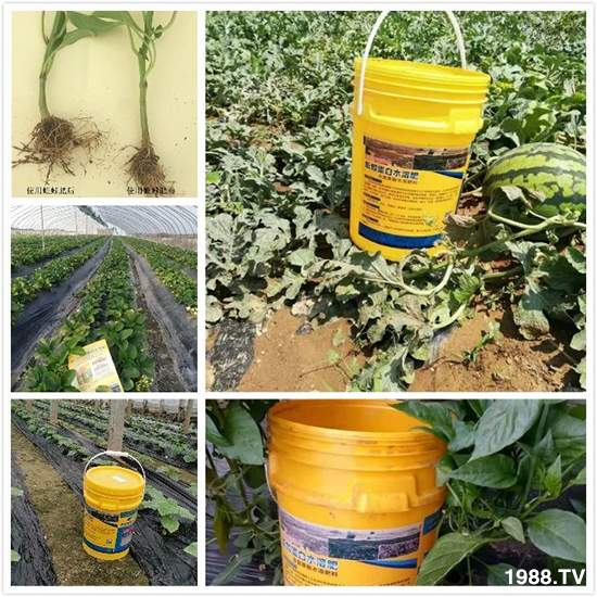 ˮ�ܷ��Ј���׃������徫���~���׌�����������1000���Ñ��������]��