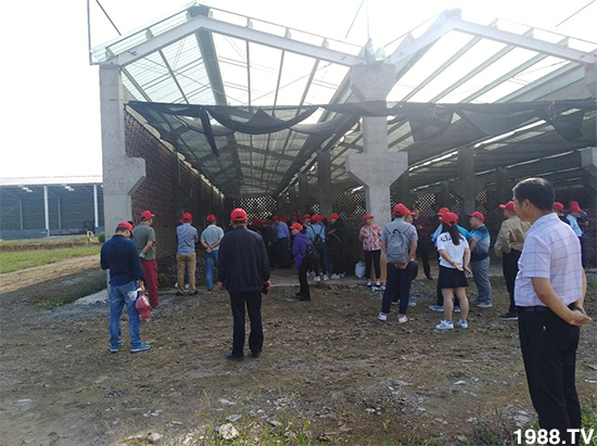 ˮ�ܷ��Ј���׃��������徫���~���׌��������棡1000���Ñ��������]��