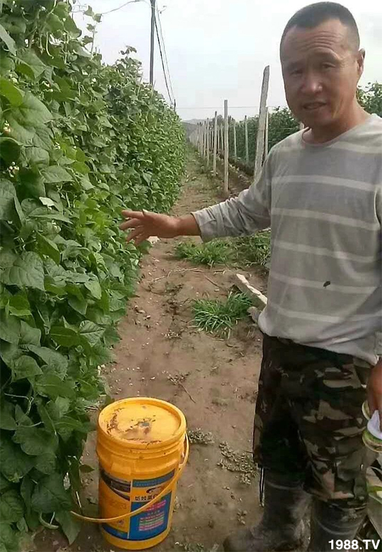 ˮ�ܷ��Ј���׃��������徫���~���׌��������棡1000���Ñ��������]��