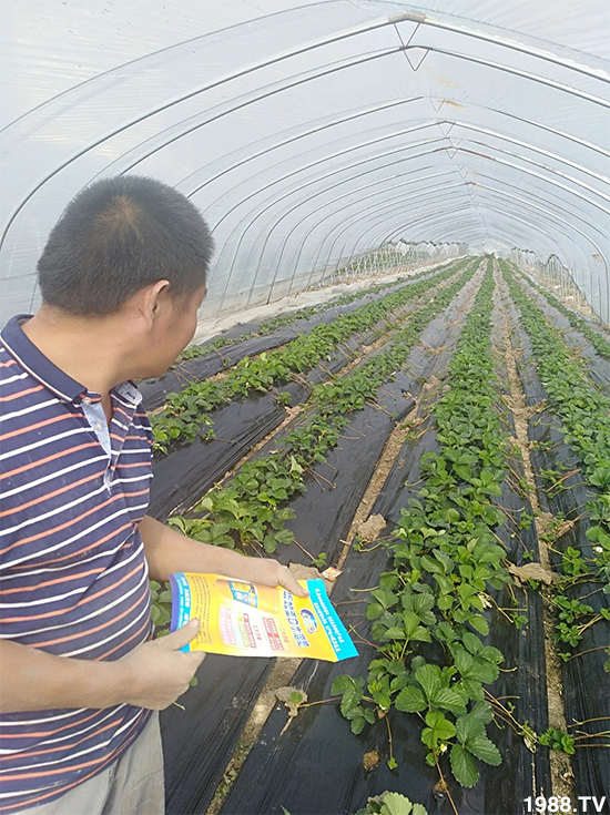 ˮ�ܷ��Ј���׃��������徫���~���׌�����������1000���Ñ��������]��