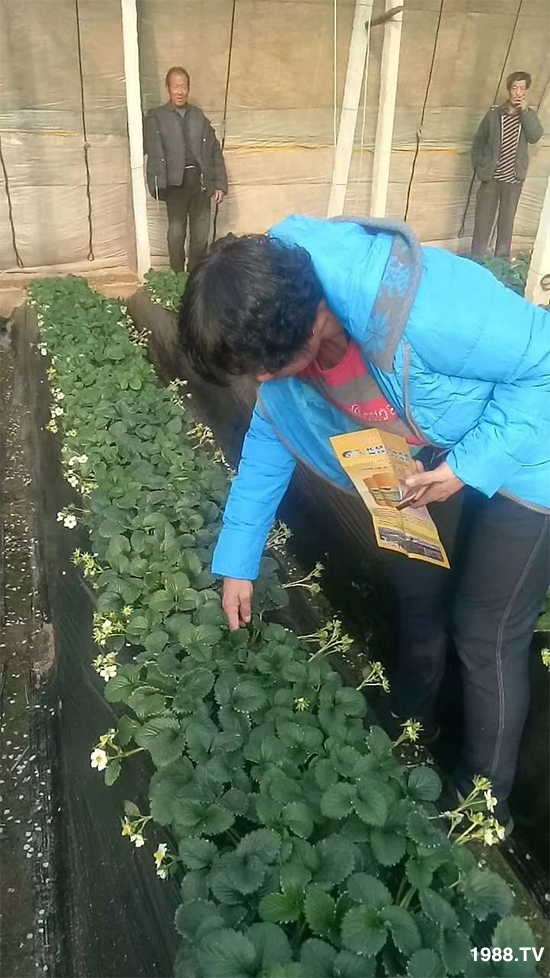 ˮ�ܷ��Ј���׃��������徫���~���׌��������棡1000���Ñ��������]��