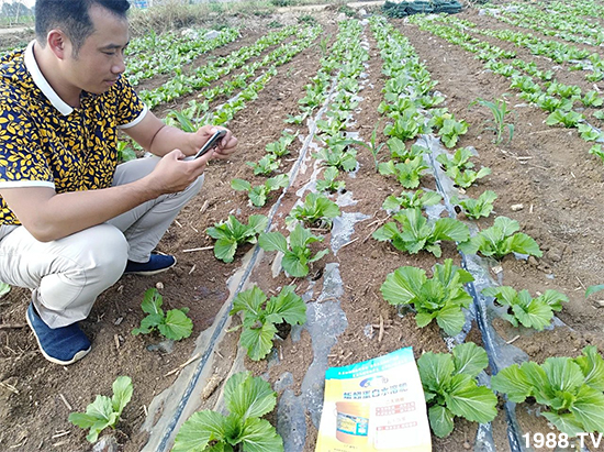 ˮ�ܷ��Ј���׃��������徫���~���׌�����������1000���Ñ��������]��