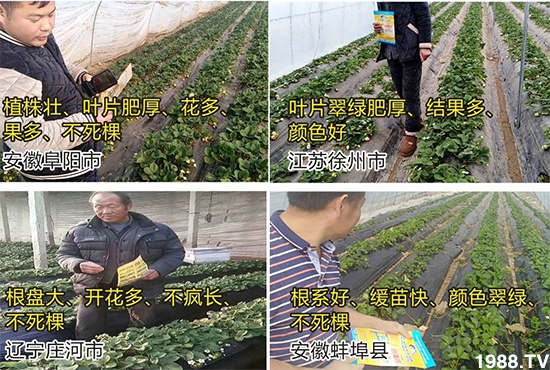 ˮ�ܷ��Ј���׃��������徫���~���׌�����������1000���Ñ��������]��