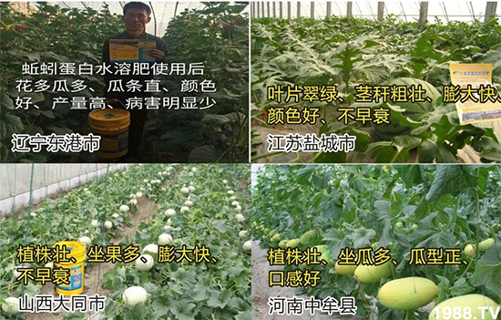 ˮ�ܷ��Ј���׃��������徫���~���׌��������棡1000���Ñ��������]��