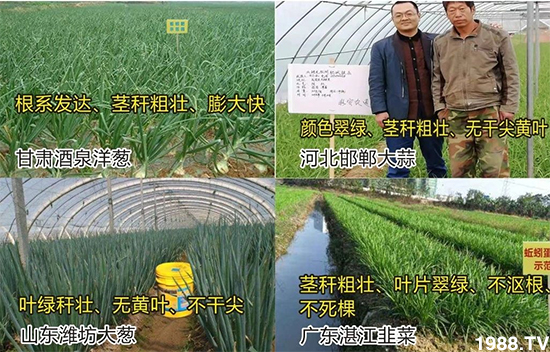 ˮ�ܷ��Ј���׃��������徫���~���׌��������棡1000���Ñ��������]��