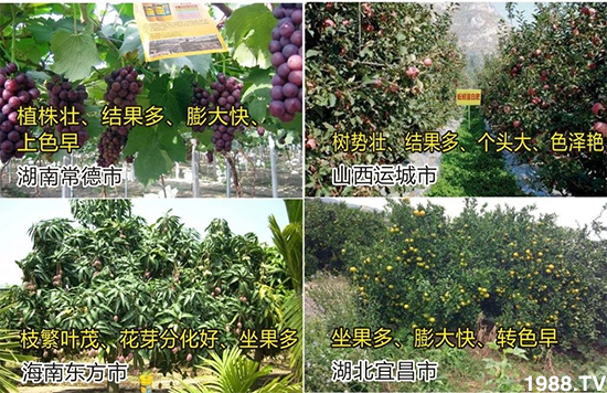 ˮ�ܷ��Ј���׃������徫���~���׌�����������1000���Ñ��������]��