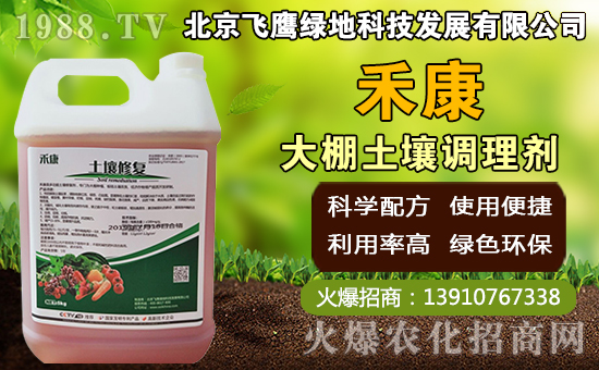 豬肚菇如何種植，豬肚菇栽培管理技術(shù)！