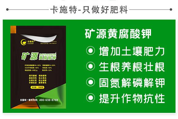 �VԴ�S�����-��ʩ��_04