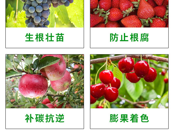 �VԴ�S�����-��ʩ��_06