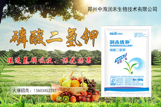 ����һ���굽��ԓ��ôʩ�ʣ�����ʩ��ע���������Щ��