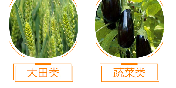 強力·生根王-天農康優(yōu)貝-天農化工_11