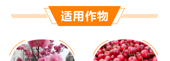 ��(qi��ng)����������-���r(n��ng)����(y��u)ؐ-���r(n��ng)����_09