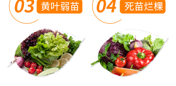 強力·生根王-天農康優(yōu)貝-天農化工_07