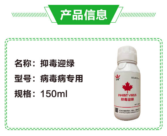 �ֶ�ӭ�G�����β�������-�G��_02