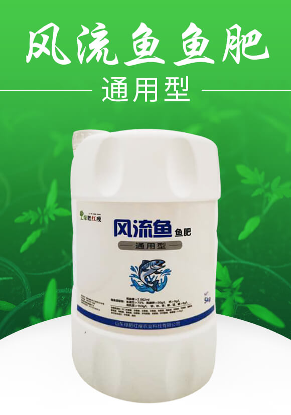 �L(f��ng)���~(y��)�~(y��)�ʣ��~(y��)���׷ʣ�-�G��_01