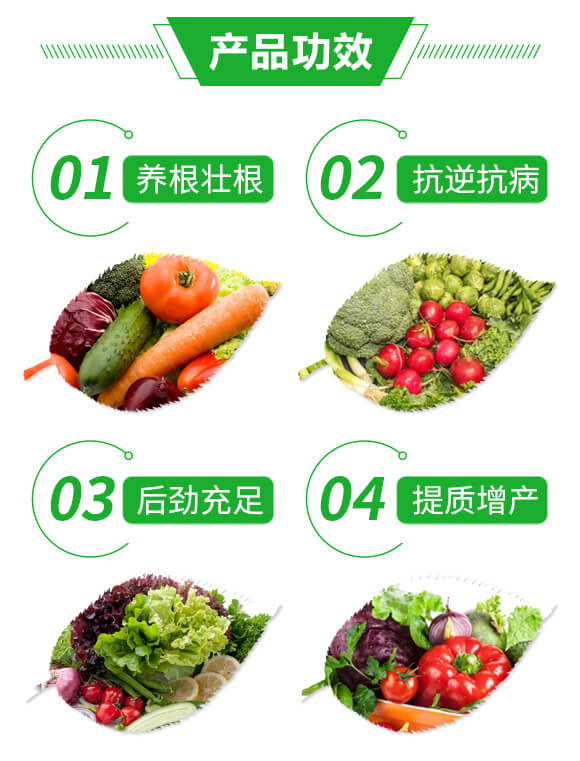 風(fēng)流根(生根養(yǎng)根壯根)-綠肥_03