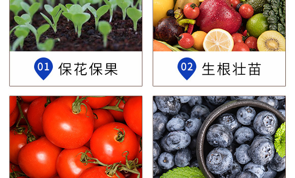 ��������-Ӣ���~��_06