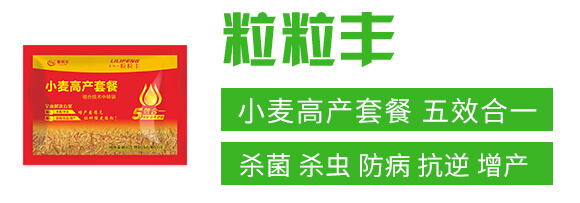 小麥高產(chǎn)套餐(五效合一)-粒粒豐-泰利爾_02