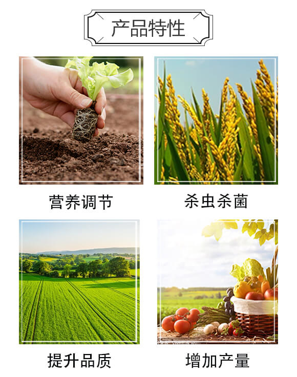 �V�Vͨ������߮a��Q����-�|����-���䌍�I(y��)_03