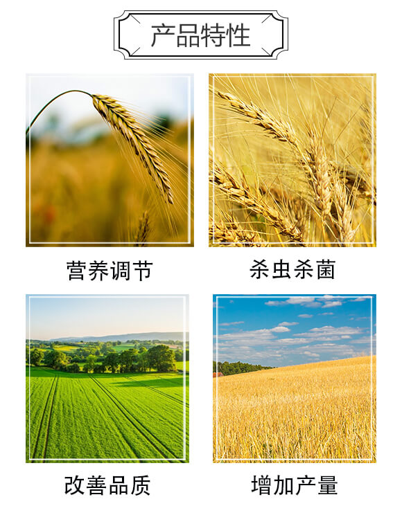 С����������߮a(ch��n)��Q����-�|����-���䌍(sh��)�I(y��)_03