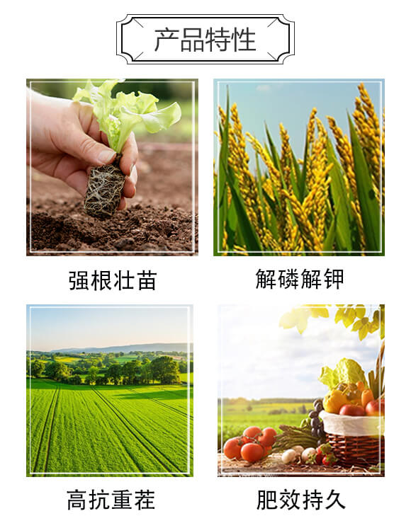 �ЙC(j��)����-���S��_02